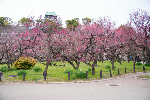 Osaka: Osaka Castle & Samurai History Walking Tour Small Group Tour with Entrance fee