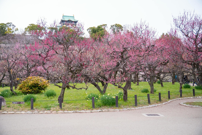 Osaka: Osaka Castle & Samurai History Walking Tour Small Group Tour with Entrance fee
