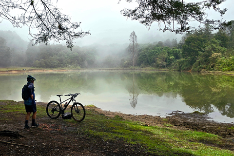 Medellín: Mountain Biking in the Clouds – Silletera Route and Cloud Forests