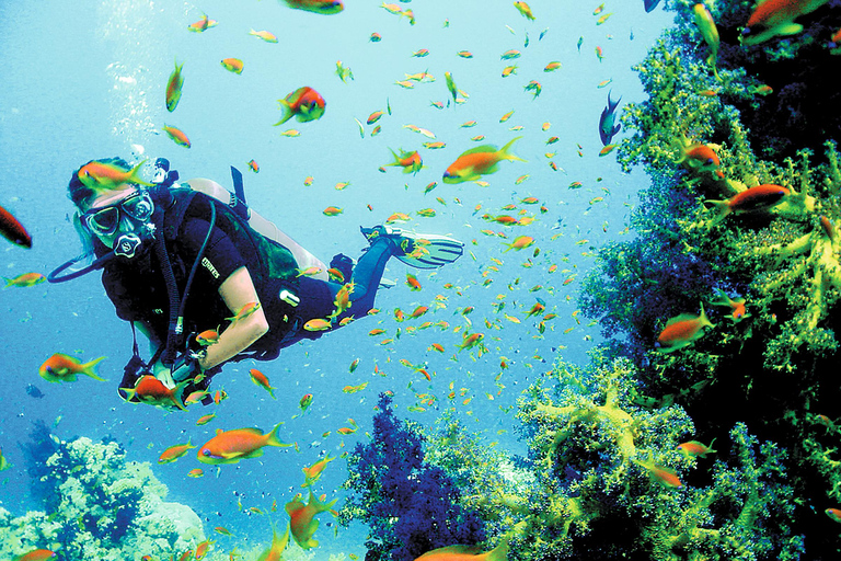 Hurghada:Immersioni e snorkeling di lusso con isola/pranzo/massaggioTour da Hurghada