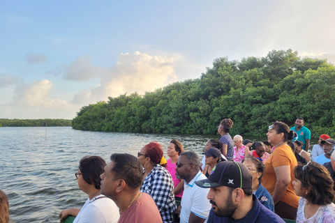 Trinidad: Combinación - Tour de la ciudad, Bahía de Maracas, Pantano de Caroni