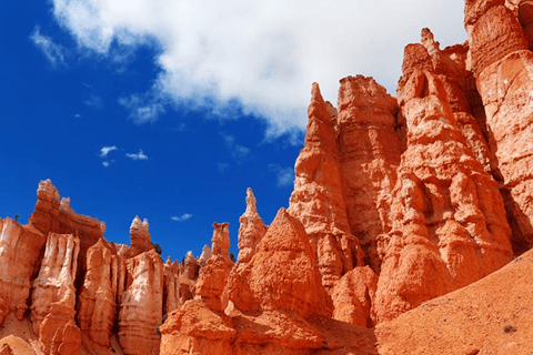 From Las Vegas: Bryce Canyon & Zion National Parks Day Trip