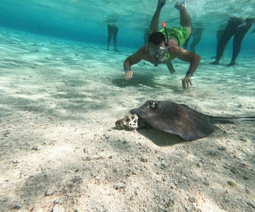SAN ANDRES: EXCURSÃO DE SNORKELLING 2 HORAS + PARAGEM NA ZONA DOS RECIFES DE CORAL