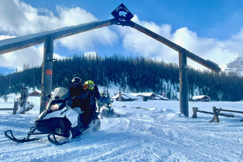 Jackson Hole: Turpin Meadow Snowmobile Tour Half-Day Morning Tour- Driver Only