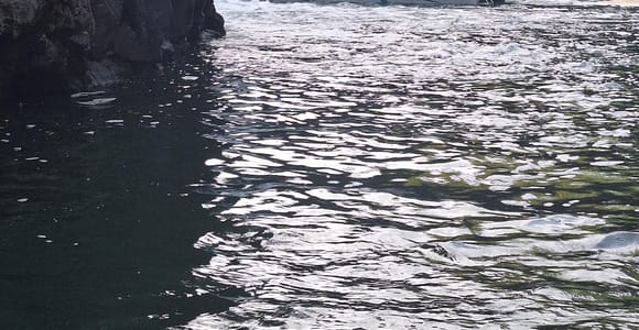 Blue bay: boat trip for ile au cerf (5 islands, barbecue)