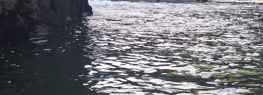 Blue bay : excursion en bateau pour l'île au cerf (5 îles, barbecue)