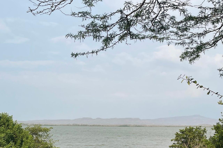 CARTAGENA: Vulkaan del totumo, Galerazamba en Manglar de la Boquilla Route