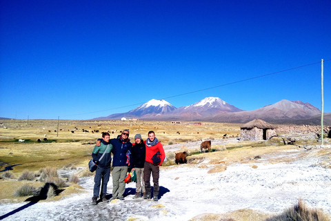 From La Paz: Sajama & Uyuni Salt Flats 4-Days Scenic Journey