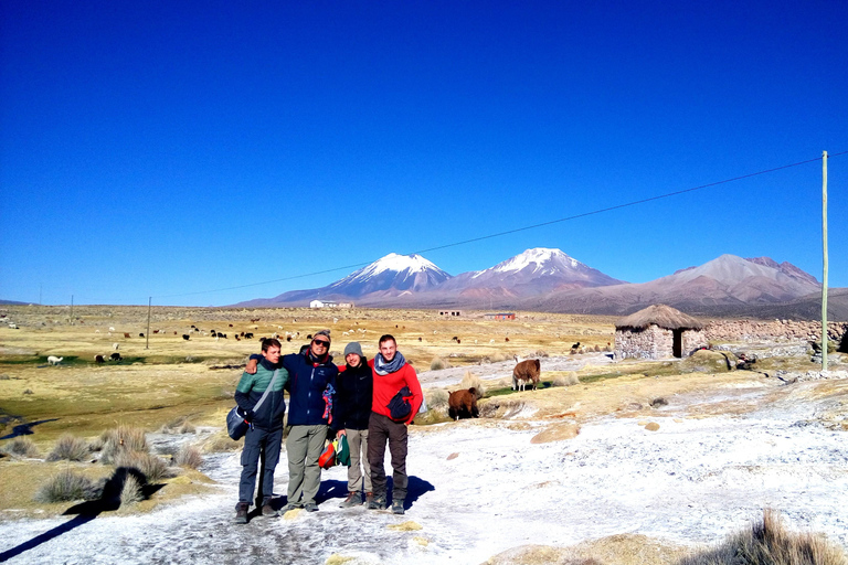 From La Paz: Sajama & Uyuni Salt Flats 4-Days Scenic Journey