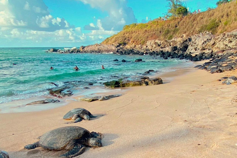 Maui's Sea Turtle & Waterfalls: Taste of Hana Guided Tour