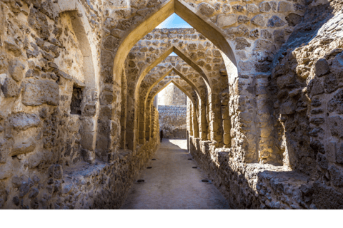 Manama: Tour della città e del deserto del Bahrain con trasferimenti