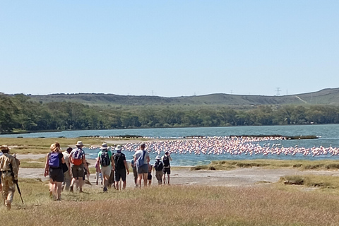 Tagestour zum Lake Elementaita &amp; Lake Naivasha ab Nairobi