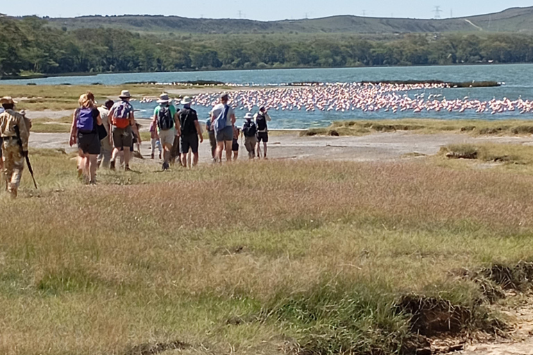 Tagestour zum Lake Elementaita &amp; Lake Naivasha ab Nairobi