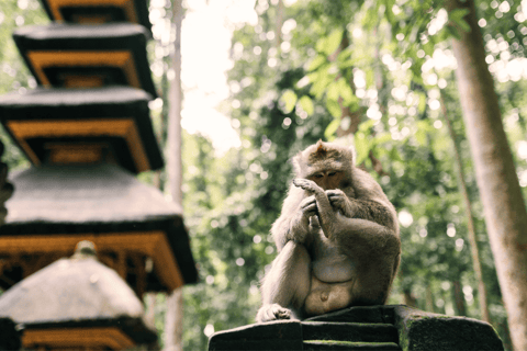Bali: Ubud Tour with Sacred Monkey Forest & Rice Terraces
