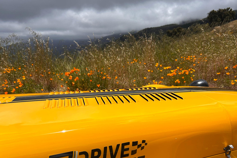 South Tenerife: Off-the-beaten-track buggy adventure South Tenerife: Full-Day Self-Drive Buggy Experience
