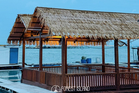 Penang: Forest Island Jet Car Tour with Dinner & Activities