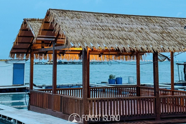 Penang: Forest Island Jet Car Tour with Dinner & Activities