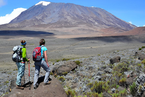 Kilimanjaro: Private 1-Tages-Wanderung mit zertifiziertem Guide