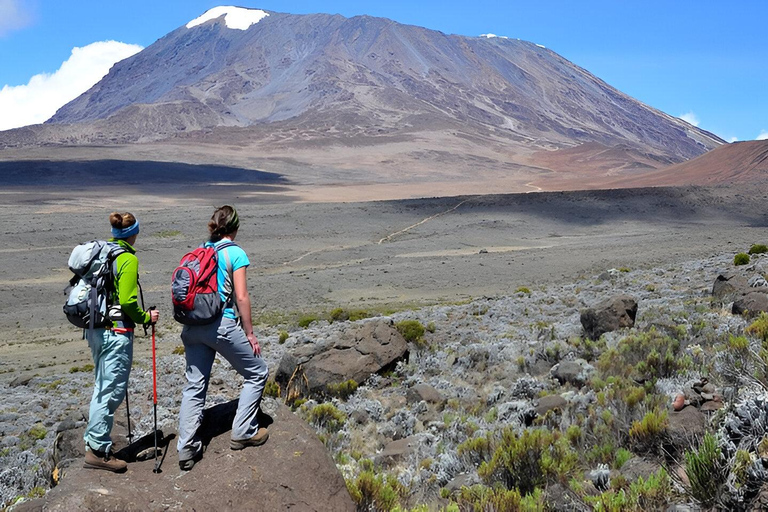 Kilimanjaro: Caminhada particular de 1 dia com guia certificado