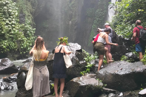 Trekking na selva em SekumpulTrekking na Cachoeira Sekumpul com tudo incluído