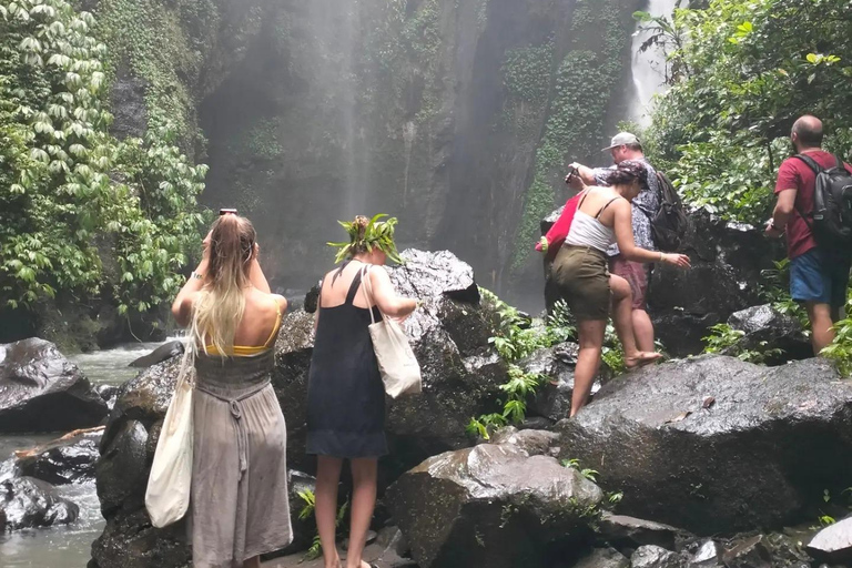 Trekking na selva em SekumpulTrekking na Cachoeira Sekumpul com tudo incluído