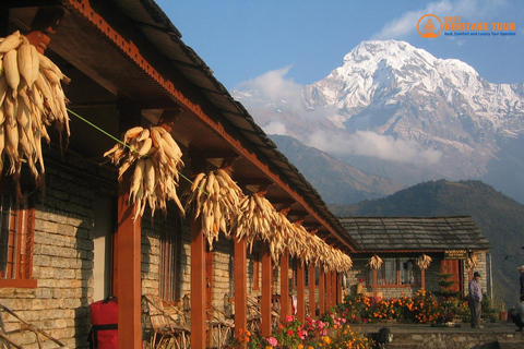 Pokhara: 4-dagars Ghorepani Poonhill Short Trek