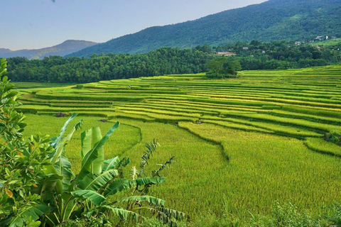 Hanoi: 3-Day Pu Luong, Ninh Binh Excursion & Guide, Homestay