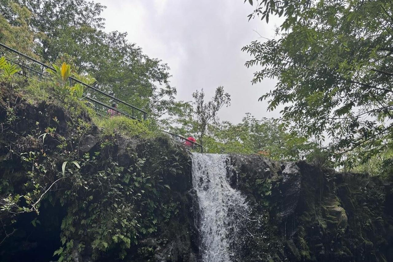 Maui Sea Turtles & Waterfalls: Full-Day Road to Hana Tour