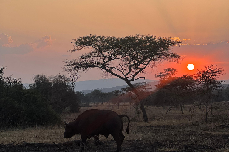 Entebbe: Nationaal Park Lake Mburo, Equator Tour &amp; Rondvaart