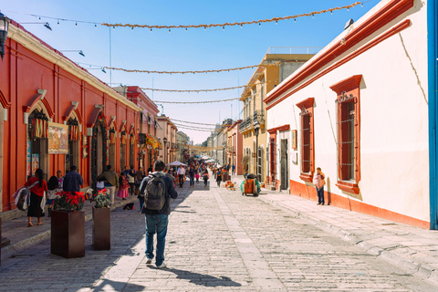 Private Oaxaca City Tour - Best Rated