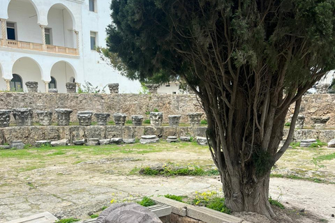 Tunis Express :Carthage, Sidi Bou Saïd & Médina with GENZ