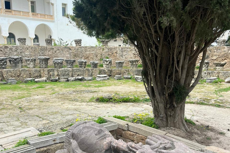 Tunis Express :Carthage, Sidi Bou Saïd & Médina with GENZ