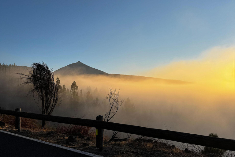 Puerto de la Cruz: Ascend Mount Teide on a quad bike to experience a magical sunset Individual Quad (1 person per quad)