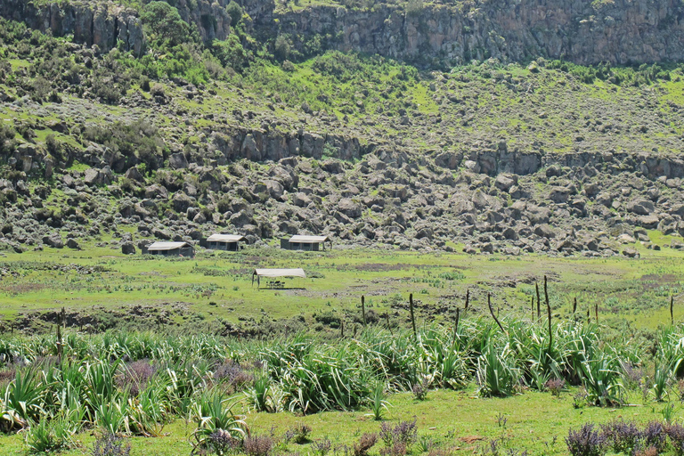 Addis Ababa: 4-Day Bale Mountains Adventure Tour