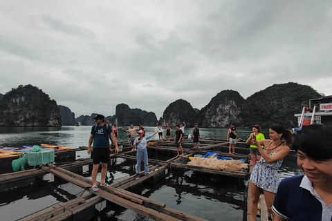 Cat Ba: Authentic Lan Ha bay cruise, small group, kayak, bikeFrån Cat Ba: Authentik Lan Ha buktkryssning, liten grupp,cykling