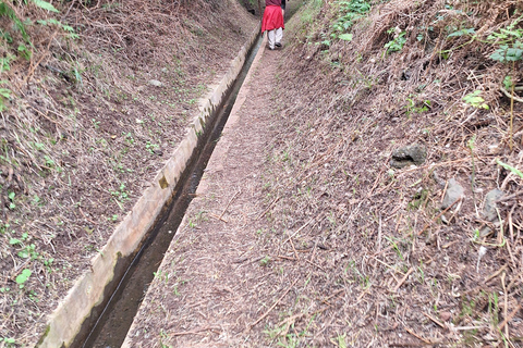 Madeira: Caniçal Levada Wandeling met Poncha Proeverij