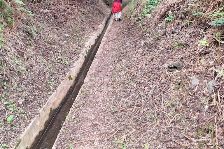 Madère : Promenade Caniçal Levada avec dégustation de Poncha