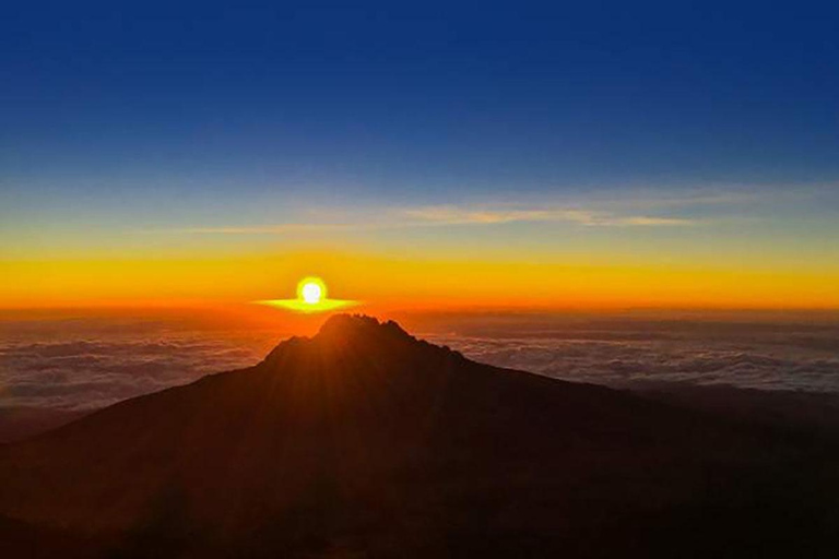 Le Kilimandjaro en un jour : Aventure inoubliable sur la route de Marangu