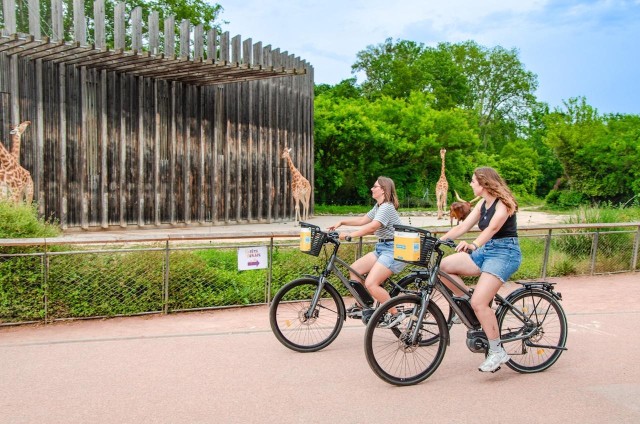Visit Rent a ebike for a half-day (-4h) in Lyon, France