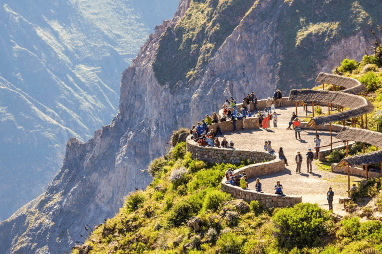 Vanuit Arequipa: verken de Colca Canyon 2D/1NVanuit Arequipa: verken de Colca Canyon op een 2D/1N