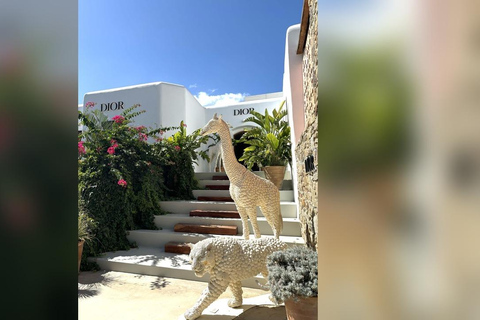 Private Tour: Customize Your Perfect Day in Mykonos