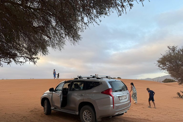 4x4 Jeep Safari in Agadir Mini Sahara and Berber Lunch Exclusive Private Experience Mini Bus (Van)