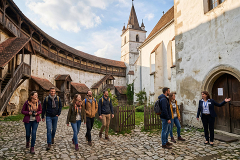 Bucharest: Dracula's Castle , Peles Castle & Brasov Day Tour Audio guide in 24 languages