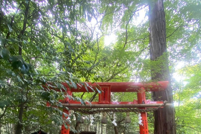 Entdecke Nara, Kiyozumi-dera &amp; Fushimi Inari von Osaka aus