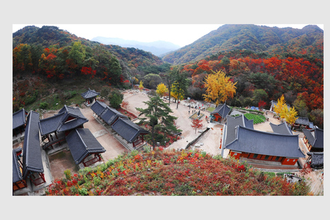 Seoul: Private Luxury Vehicle Tour - English or Spanish Seoul 5 Hour Tour - Escalade