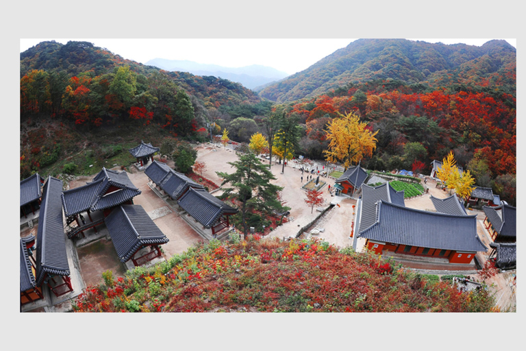 Seoul: Private Luxury Vehicle Tour - English or Spanish Seoul 5 Hour Tour - Escalade
