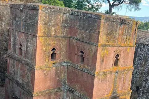 Da Addis Abeba: tour di 8 giorni a Lalibela, Sud e Danakil