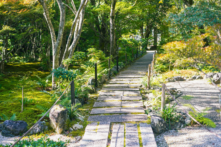 Kyoto: 4 uur durende Arashiyama-wandeltocht