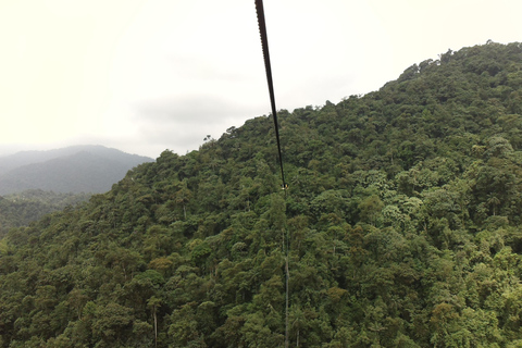 Mindo Cloud Forest: Adventure and NatureMindo - Adventure and nature - private transport