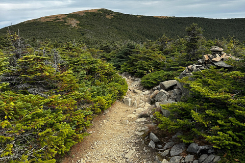 Boston, USA White Mountains 4 000 fot långa vandring - Mount Moosilauke